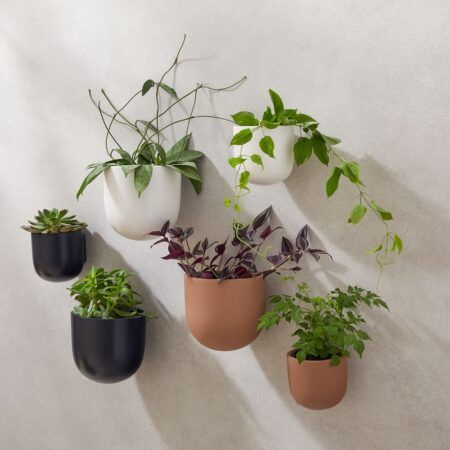 Ceramic Indoor:Outdoor Wallscape Planter