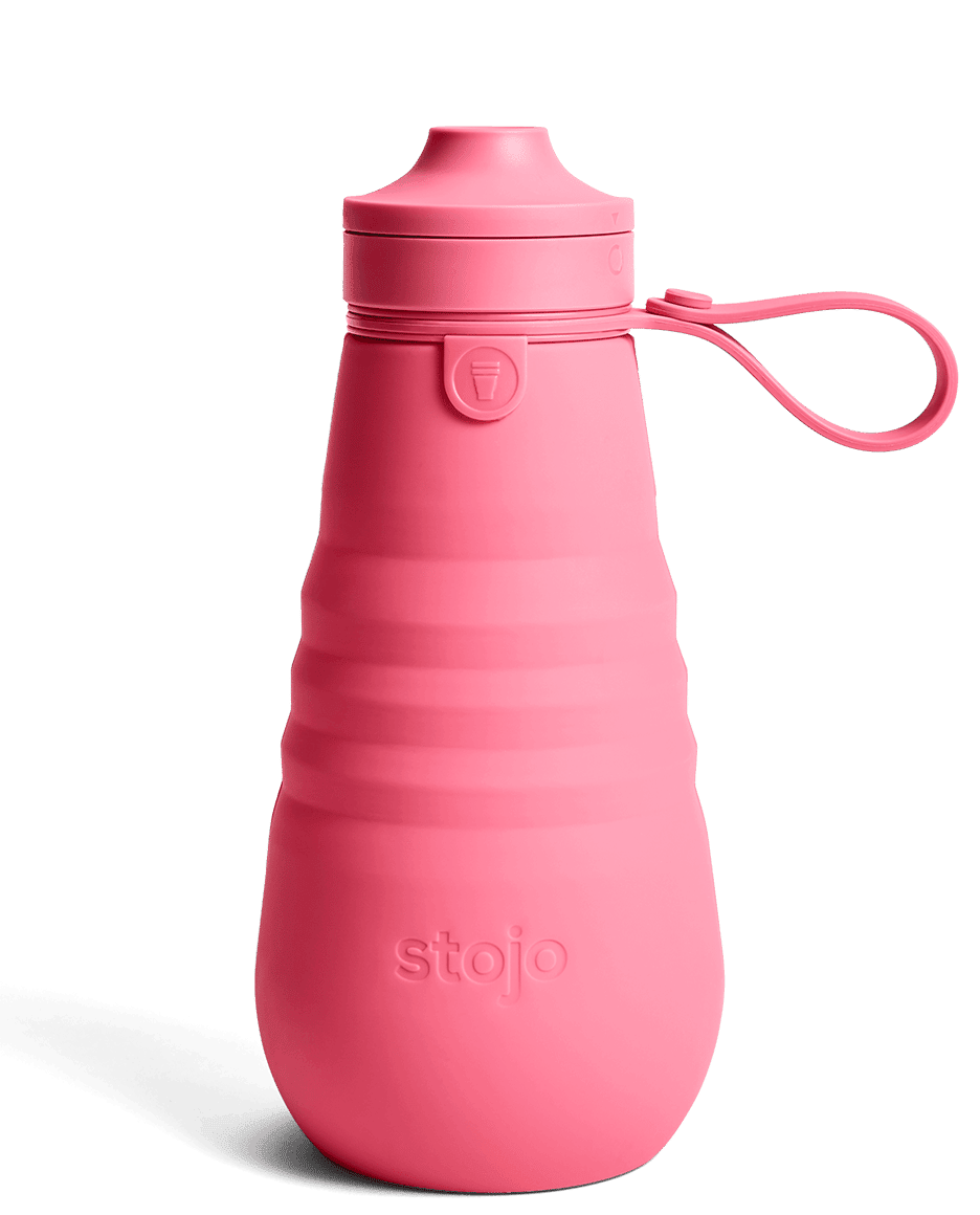 stojo sports bottle