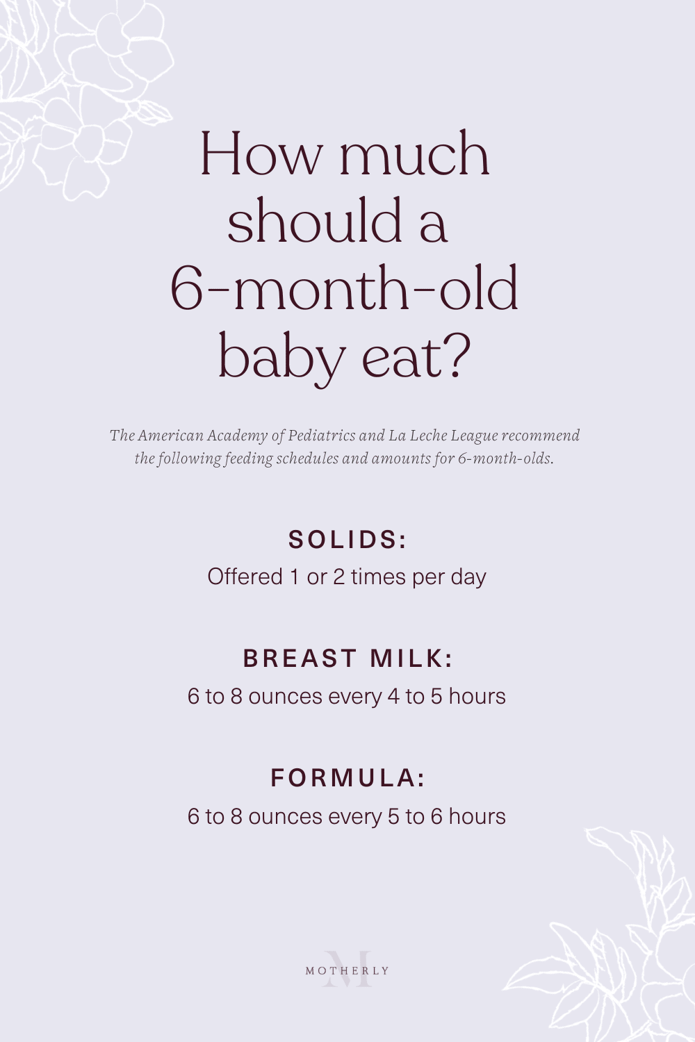 Baby Feeding Essentials for Starting Solids: Weaning 6 Mos.