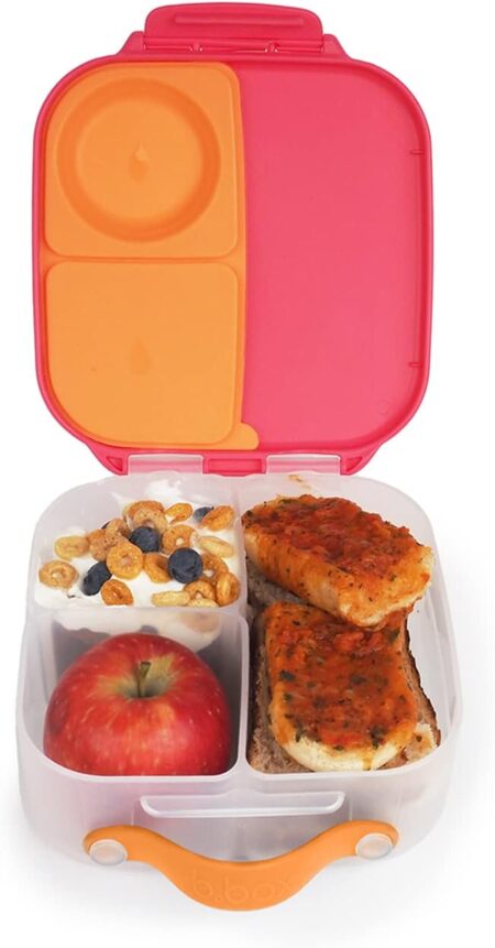 Austin Baby Co Leak-Proof Bento Lunch Box for Kids – Silicone Kids Lunch  Container with 5 Leakproof Compartments – Food-Safe Materials, Sturdy