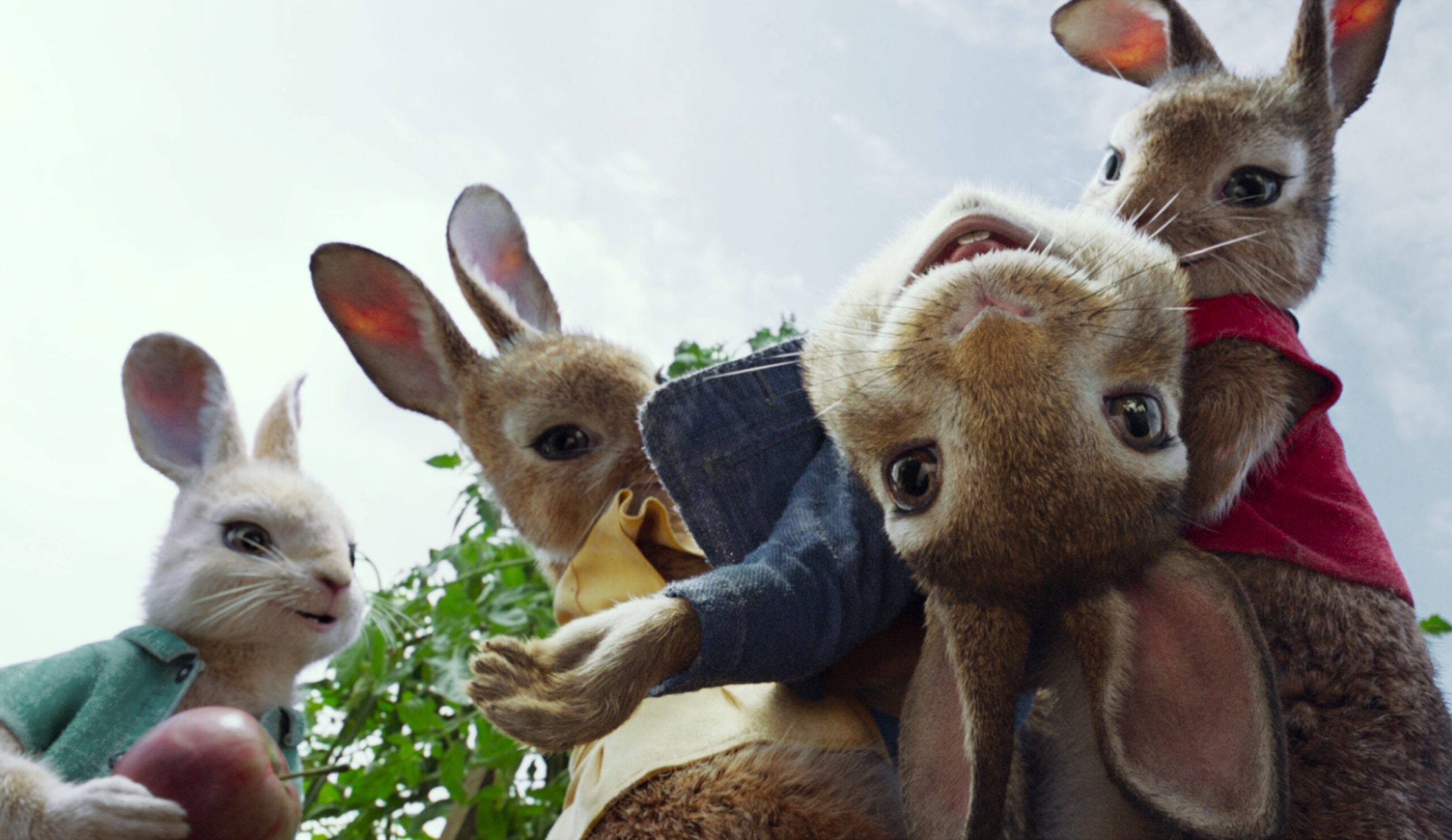 Here's Why Parents Are Furious at the New Peter Rabbit Movie