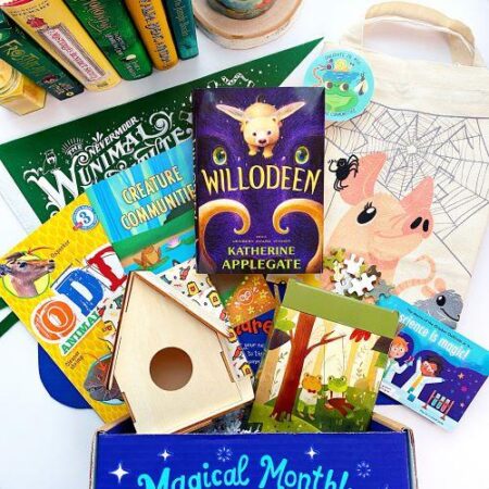 Book subscription hot sale box for kids