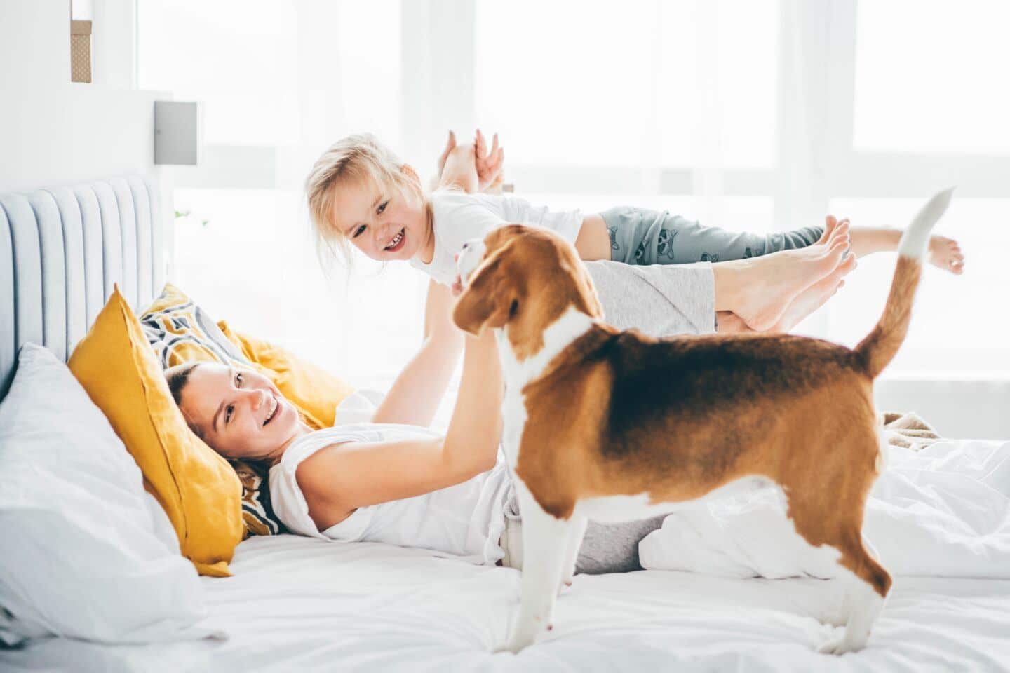 growth mindset in mothers: mother holds baby up on knees while lying on bed next to dog