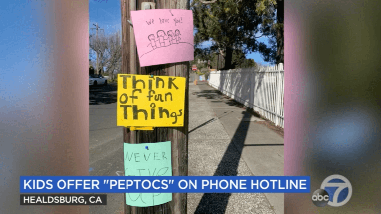 Pep Talk hotline signs on telephone pole