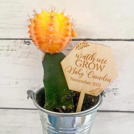 Succulent Cactus Baby Shower Seed Packets Favors