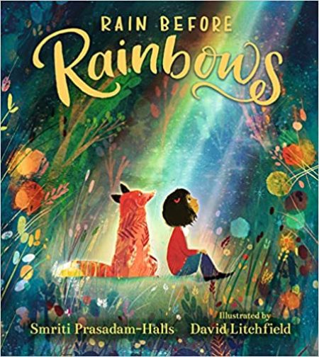 rain before rainbows book