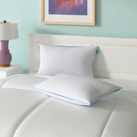 https://www.mother.ly/wp-content/uploads/2022/08/Wayfair-Sleep%E2%84%A2-Encased-Cooling-Shredded-Memory-Foam-Medium-Support-Pillow-450x450.webp