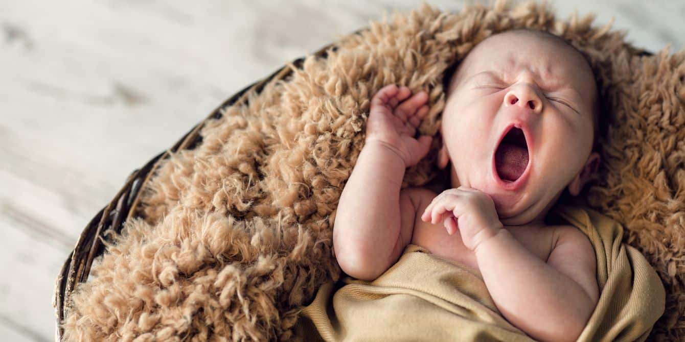 Newborn discount photoshoot blanket