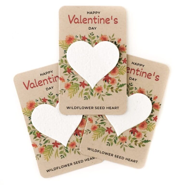 Valentine's Day Wildflower Seed Cards