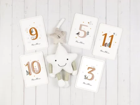 Moments of Luv Woodland Animal Printable Milestone Cards