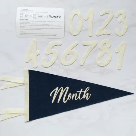 Pennant 4 Your Thoughts Baby Milestone Monthly Felt Pennant Photo Kit