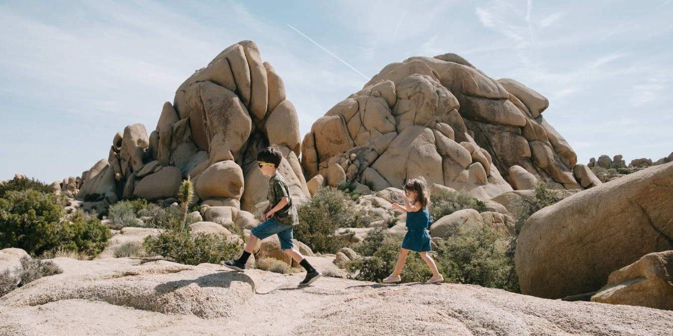 two children walking on rocks in a national park