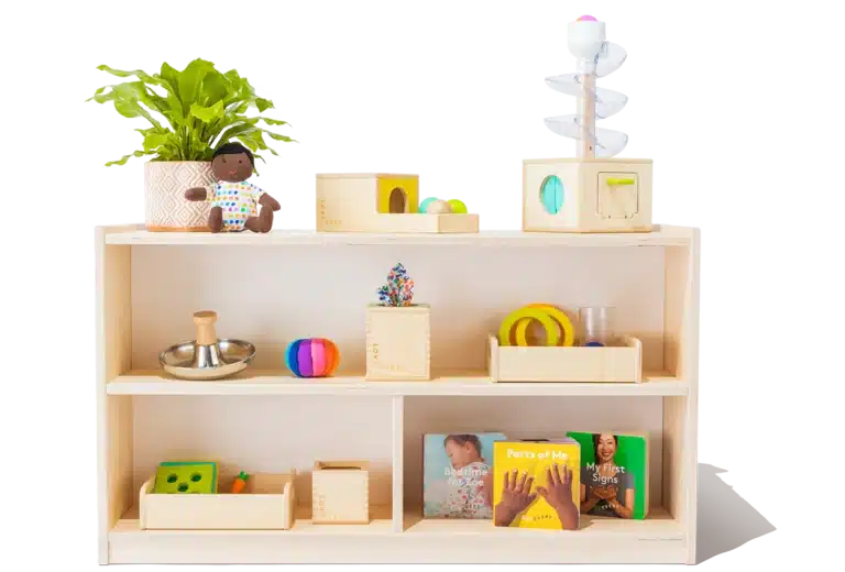 The Montessori Playshelf