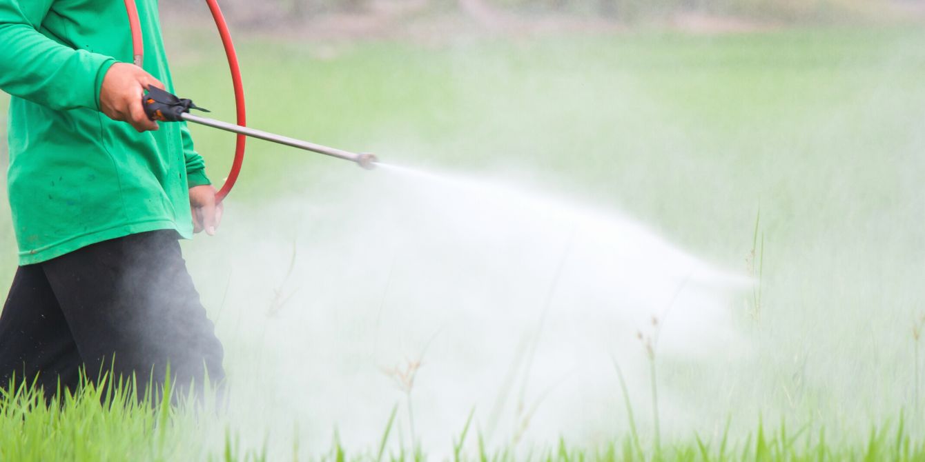 Man spraying pesticide on farm