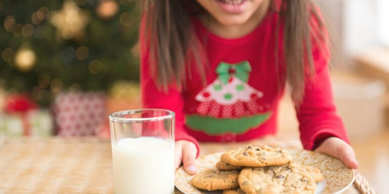 Girl leaves milk and cookies out for Santa