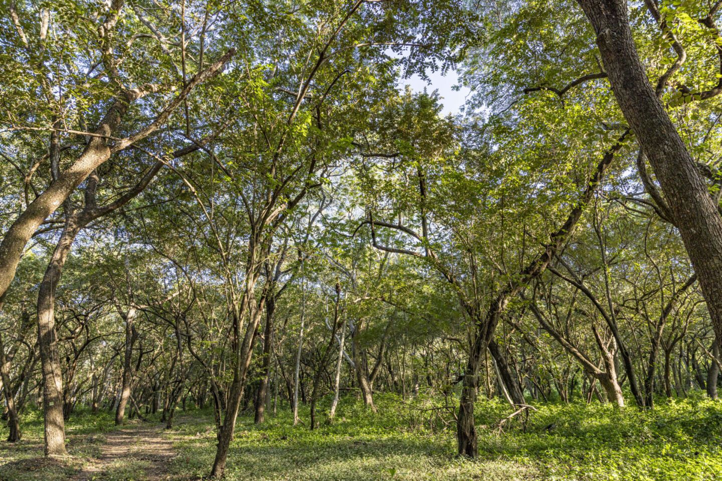 Guanacaste, Costa Rica: Punta Islita, Autograph Collection