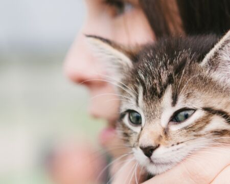 girl holding a cat Motherly