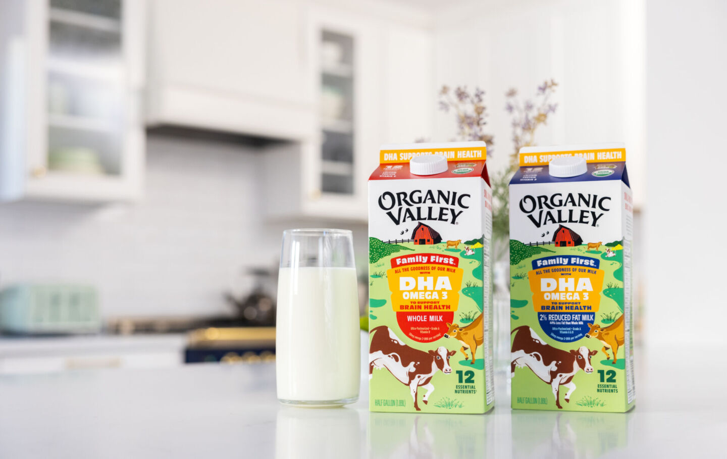 two cartons of Organic Valley milk on counter