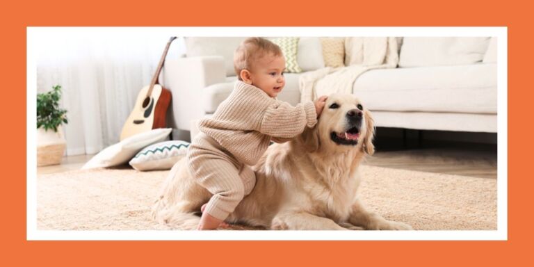 Baby with golden retriever