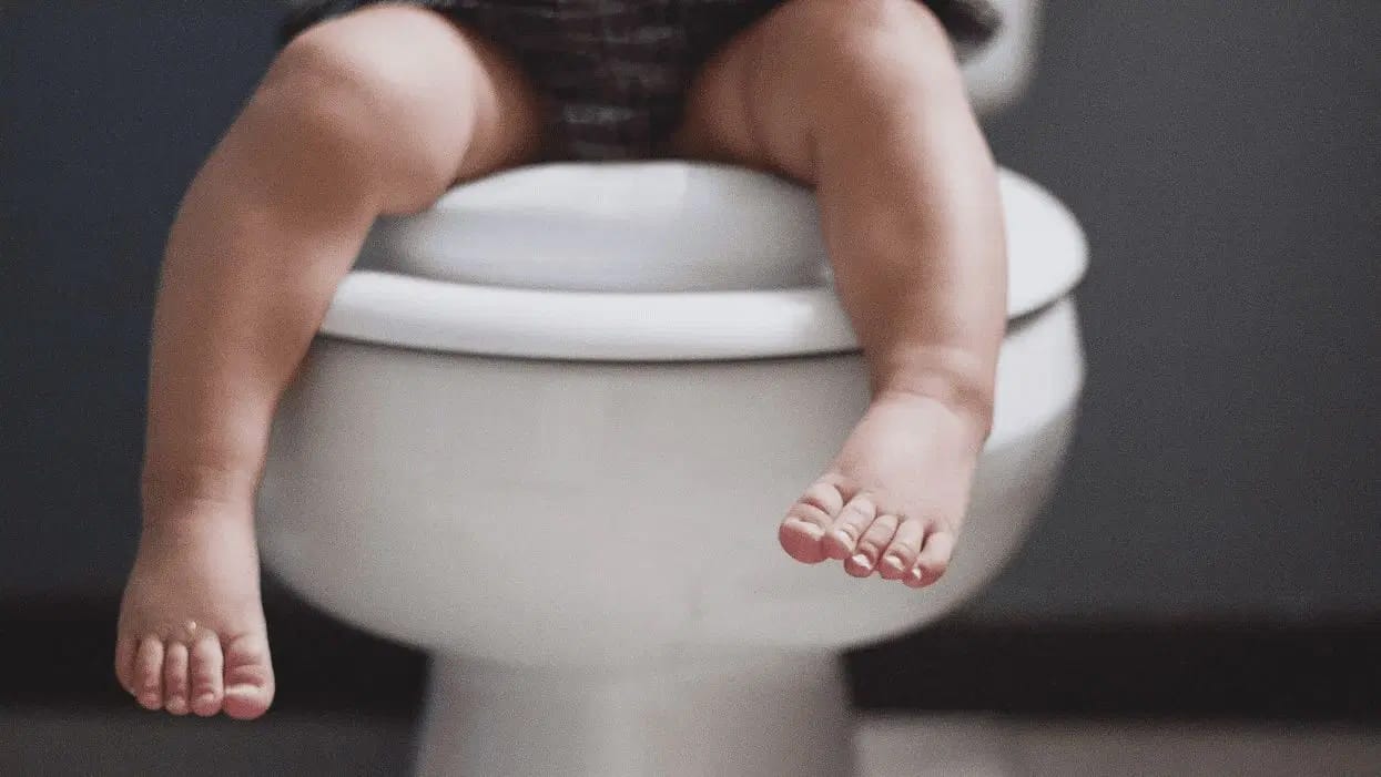 lies about potty training Motherly