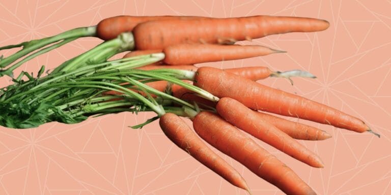 A picture of carrots