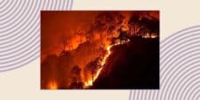 California wildfires: An image of trees burning