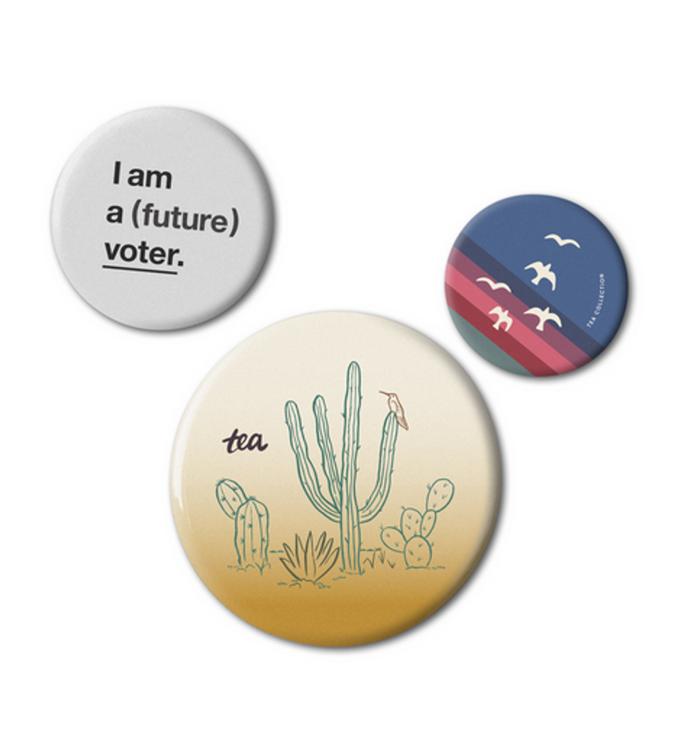 voter pin