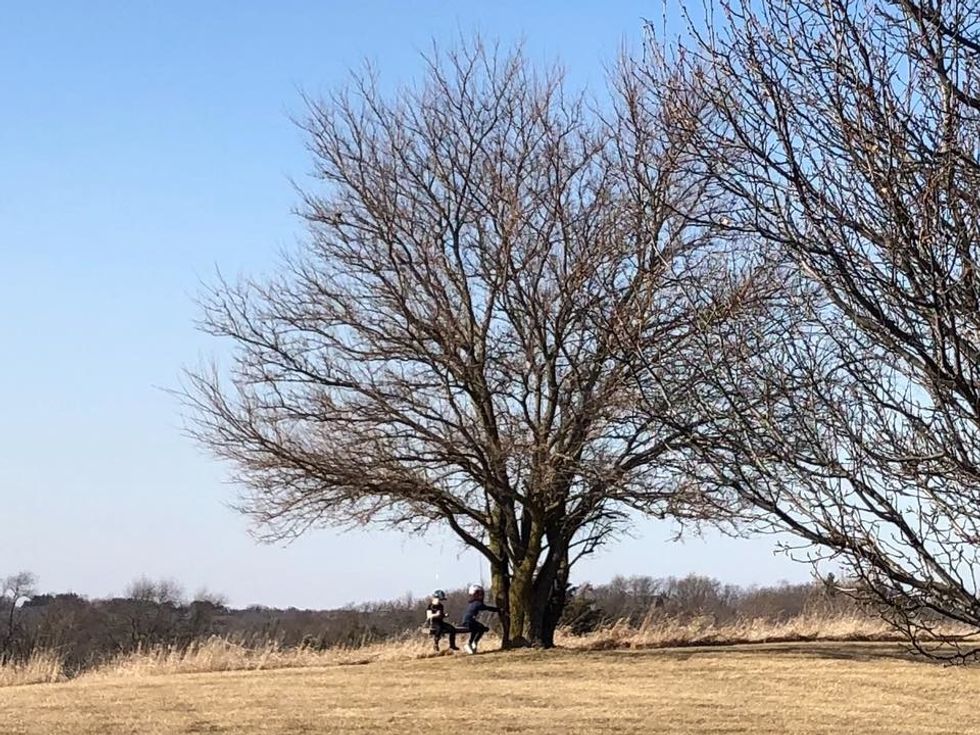 kids swinging on tree